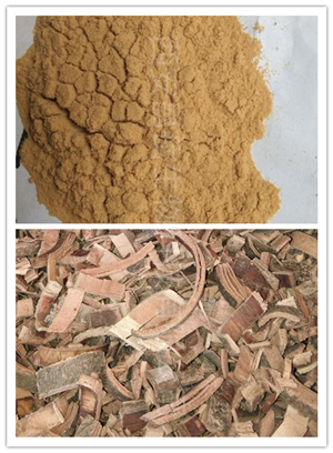 秦皮提取物、白蠟樹提取物